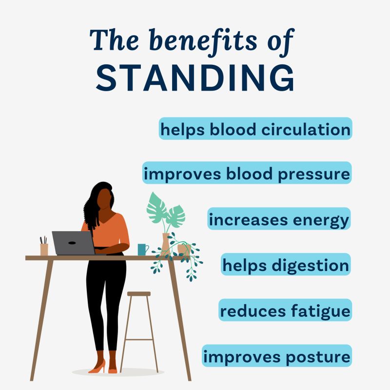 PhysioTweed's tweet image. #benefits #standing #bloodcirculation #bloodpressure #energy #digestion #fatigue #posture