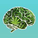 Photo by Behavioural Alcohol and Cannabis Lab (@bac_lab)