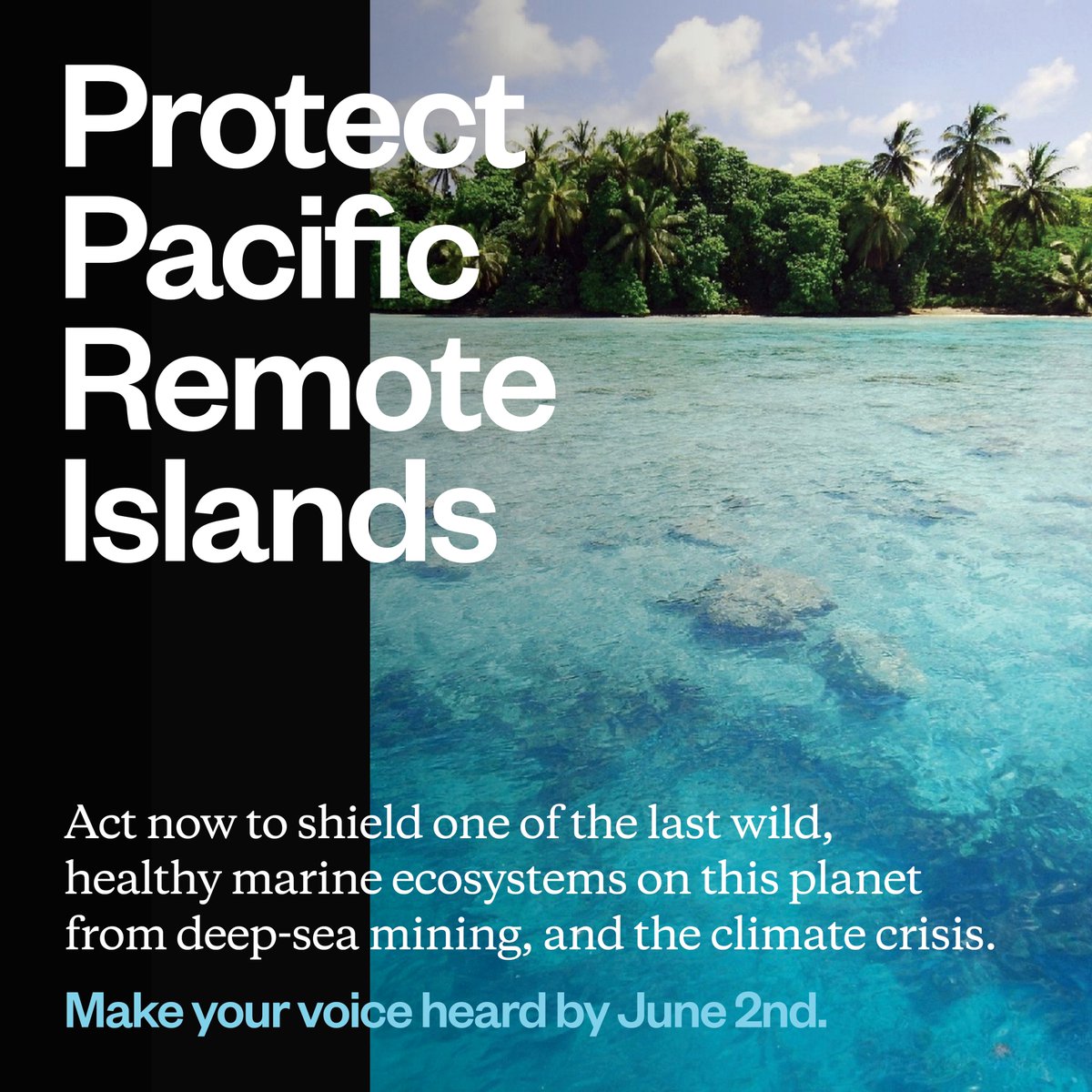 In the central Pacific Ocean lies the Pacific Remote Islands,—some of the last wild, healthy marine ecosystems on this planet. Its resilient coral reefs, sharks, turtles, seabirds and deep-sea species along these well-worn voyaging trails are facing growing threats. 

#ProtectPRI
