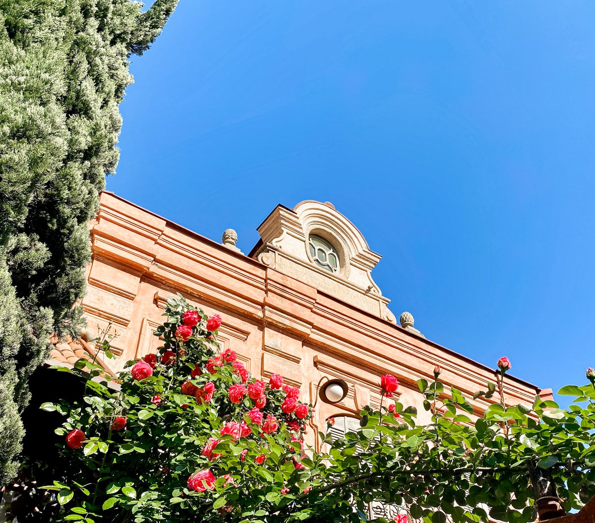 Enjoying the sun and flowers!

#tbilisi #georgia #tbilisigeorgia #travel #travelcouple