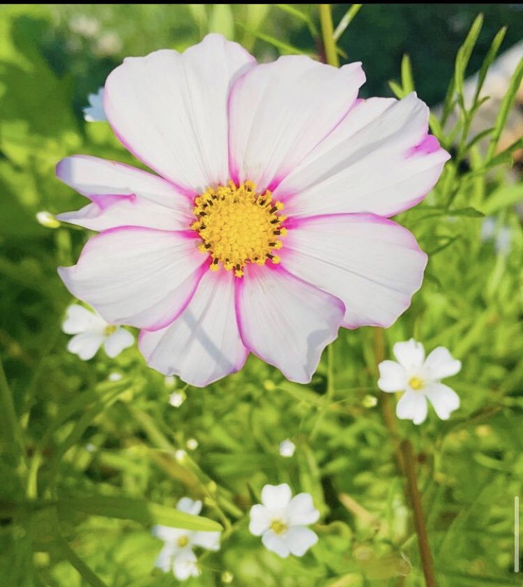 Open the bloom of your heart and become a gift of beauty to the world.