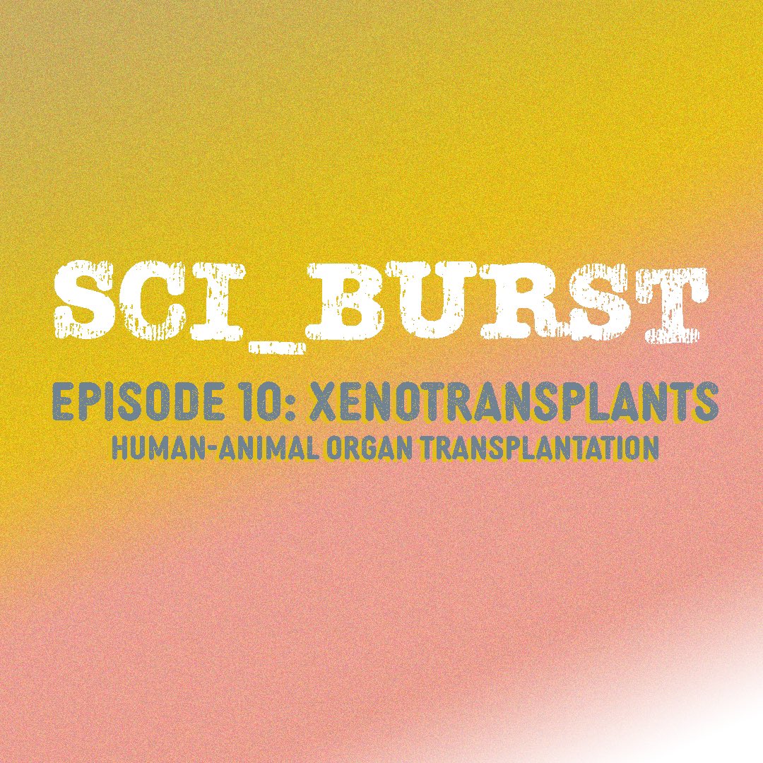 Welcome to our 10th Episode of Sci_Burst, where we delve into the horror-coded topic that is Xenotransplantation. 🐷🔪🧠Yep, you heard us - we're talking fiction and realities of human and animal organ transplants! 🧬

#Scicomm #medicalscience #transplants #organs #sciencepodcast