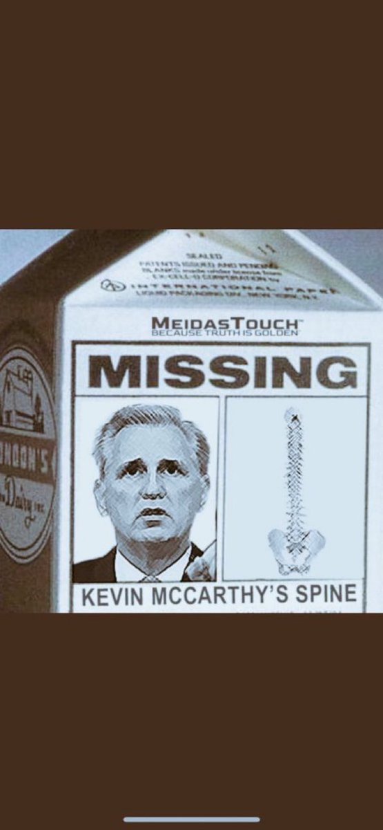 YorkieMom4Trump's tweet image. #RemoveMcCarthy