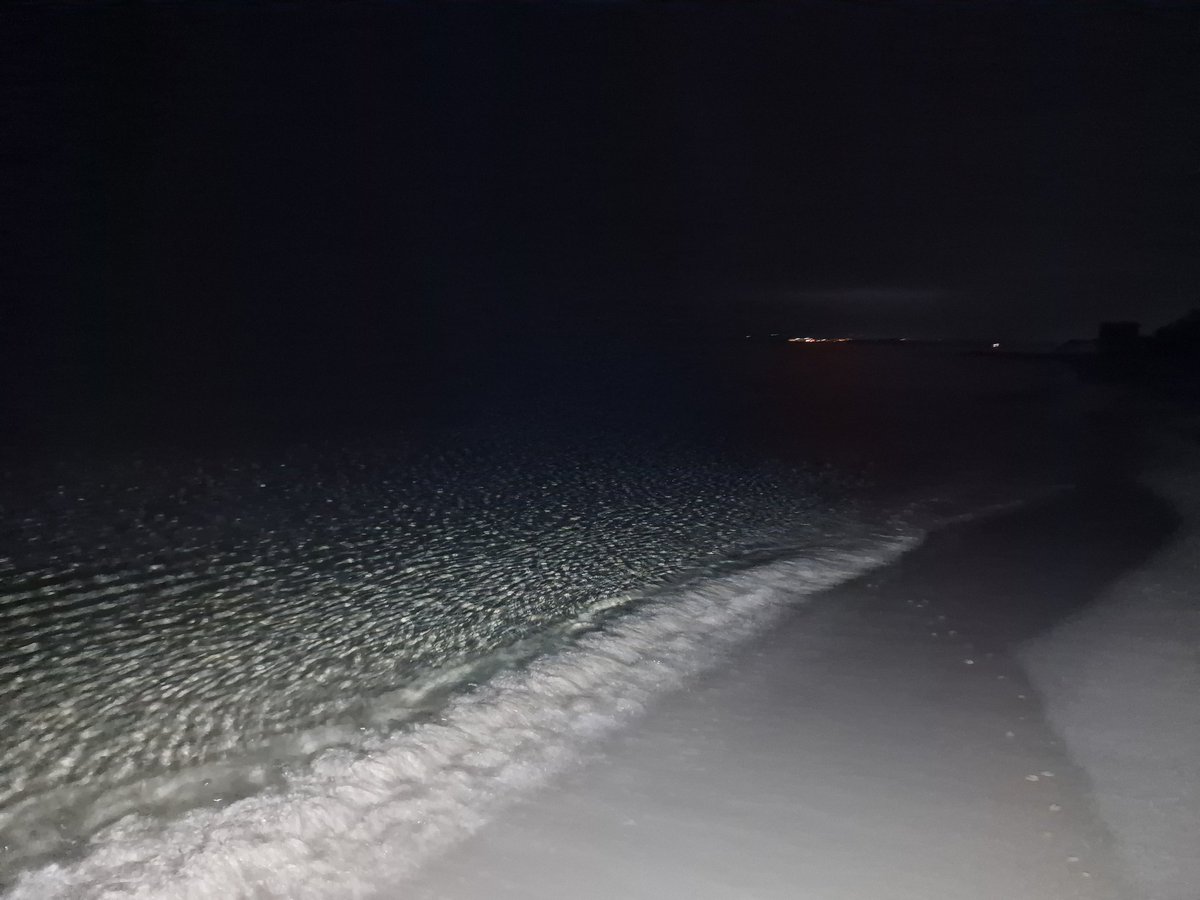 <a href="/Pauly0x/">PAULY</a> nice job 🤙

Let's see if this address gets $10K  

1 I dive into the pool 🥶

2 I dive into the sea ☠️

Comment 1 or 2

<a href="/JoeVargas/">Joe Vargas</a> What do you think?

24H ⏳️

$ETH adress 🤝👇

0xEe5010Ac07DD78d01983c49550ce7c3094FF4890