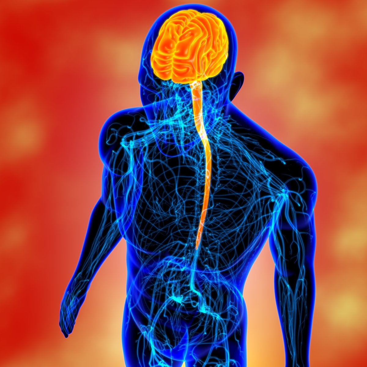 Body #discomfort and #pain are common signs and symptoms of musculoskeletal disorders (#MSD). A new CRE-MSD position paper (uwaterloo.ca/centre-of-rese…) written by Dr. Viggiani breaks down the key differences between #AcutePain and #ChronicPain.