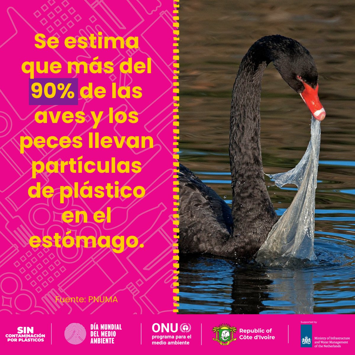 De aquí a 2050, podría haber más plásticos en los océanos que peces. 🐟

Para lograr un 🌎 #SinContaminaciónPorPlásticos, debemos:
📉 reducir
♻️ reutilizar
✏️ rediseñar
nuestra producción y consumo de plásticos.

#DíaMundialDelMedioAmbiente

➡️ worldenvironmentday.global/es