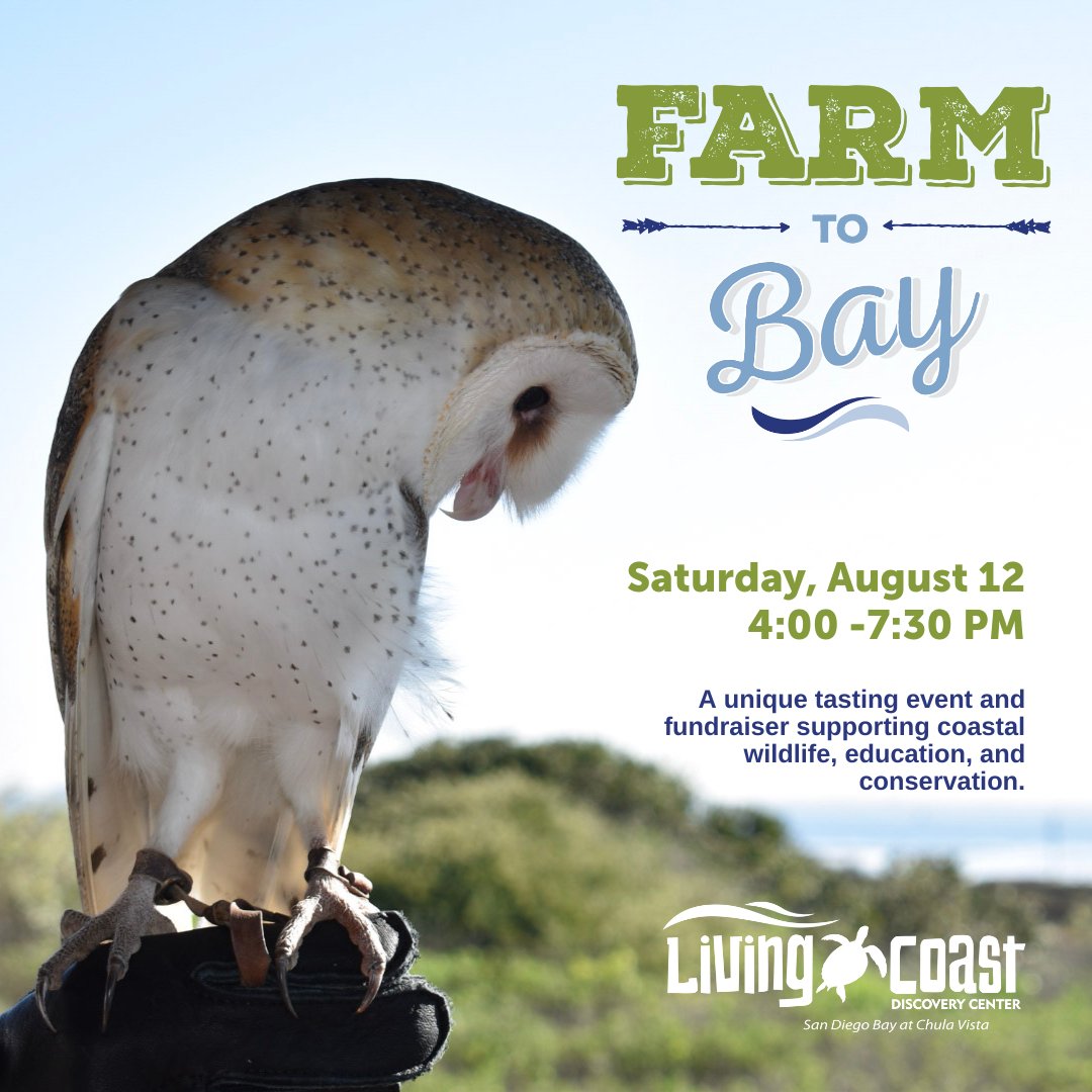 Save the date for #FarmtoBay2023! 📅 Join us on Saturday, August 12, from 4:00 - 7:30 PM for a unique food & wine-tasting event and fundraiser supporting coastal wildlife, education, and conservation! Stay tuned for more info and learn more at thelivingcoast.org/FTB2023