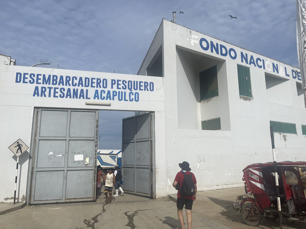 BitacoraAmbiental tweet media