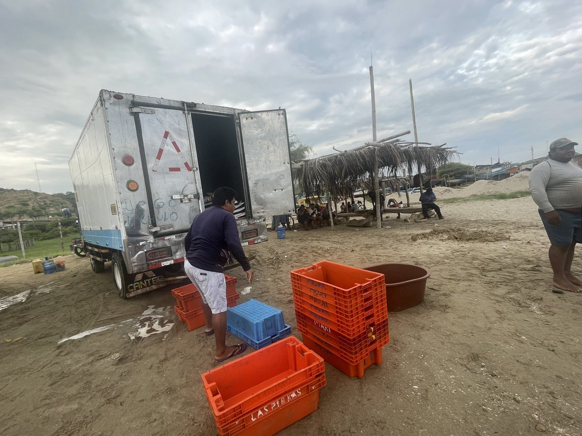 BitacoraAmbiental tweet media