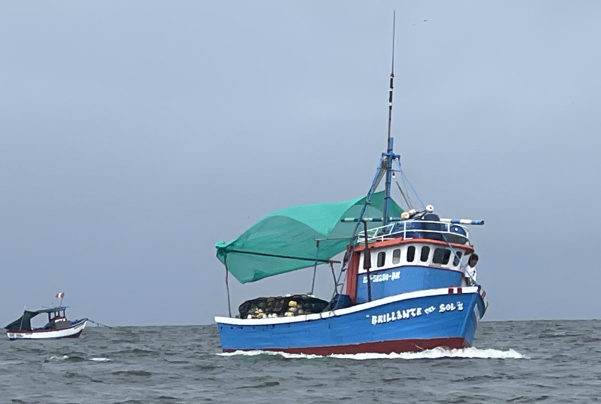 BitacoraAmbiental tweet media