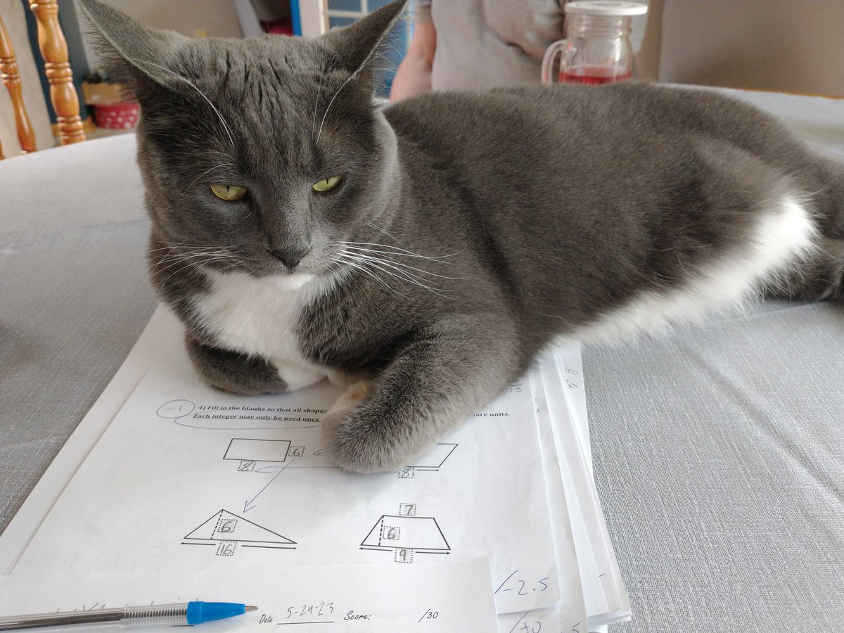 germanmathmama's tweet photo. Cat is "helping" with the second to last grade of the quarter and the school year ... https://t.co/iPh2uHb929