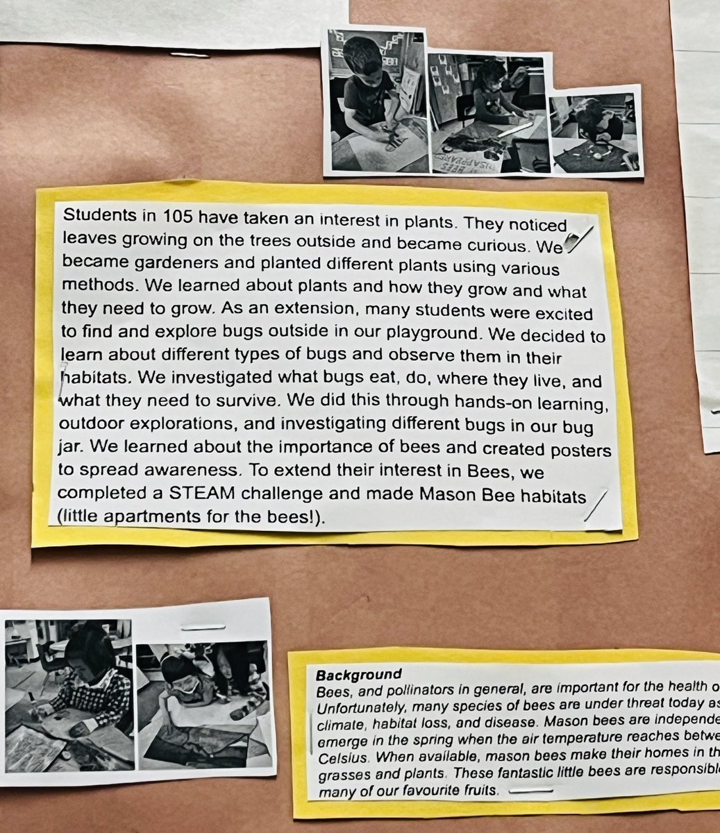 VPwithBMD's tweet photo. “When we invite young learners to wonder, we encourage investigation &amp; creativity, to explore new possibilities, ways of thinking &amp; solving the problems of the world.” - Lee Crockett. 
Room 105’s inquiry on plants &amp; bees exemplifies this! 💛 @lynda_watters @tdsb @shelleylaskin https://t.co/ZR7o9qmxD3
