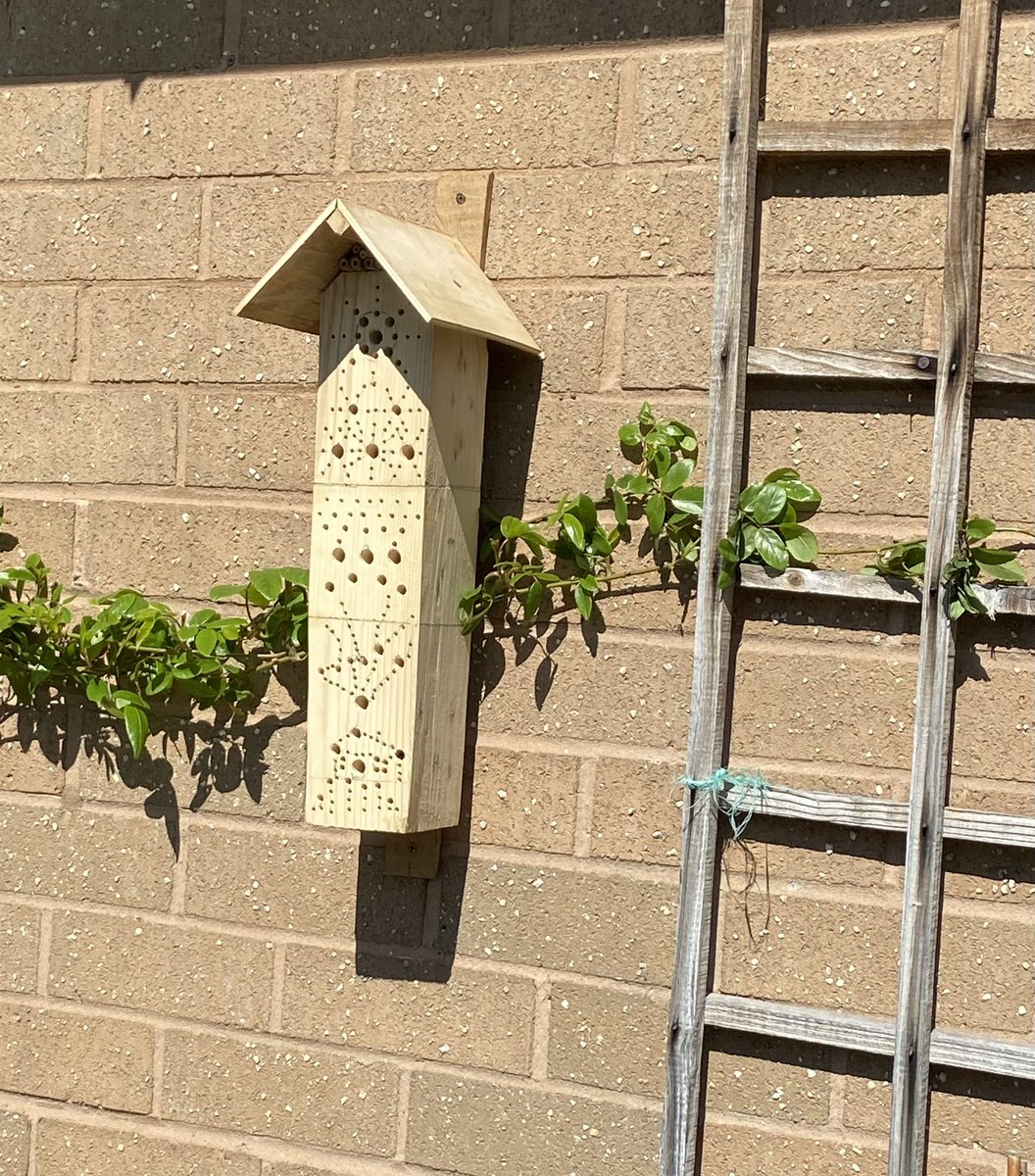 Dodd_julia's tweet photo. My Dad made this beehouse for me (he’s in a local recycling group in Great Haywood that make and repair things).
It already has at least one bee if you look closely #springwatch #beehouse https://t.co/prHL8rjgTW