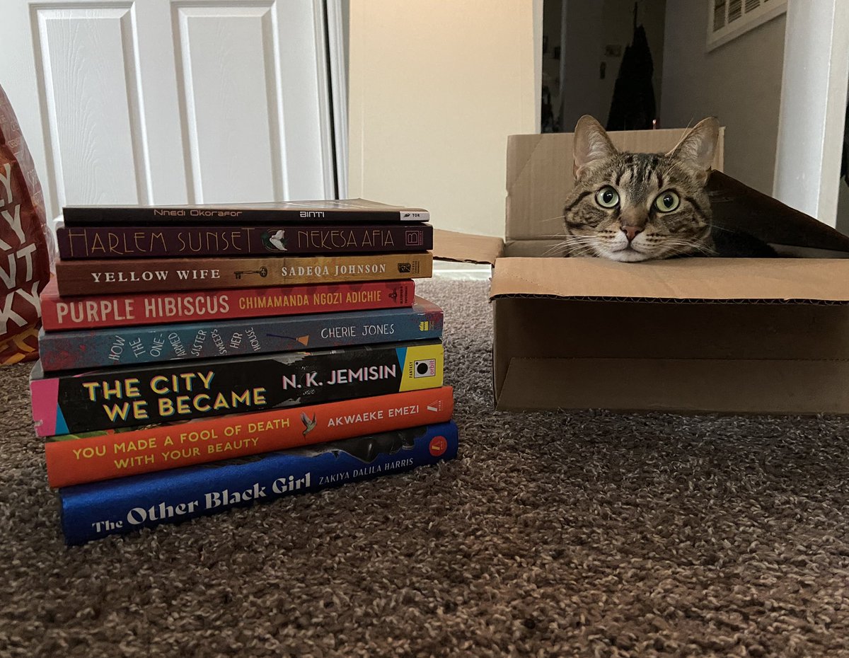 breewasthere's tweet photo. New books + my adorable kitty = Pure dopamine. Which book should I read first? https://t.co/qHR5wLLZ3I