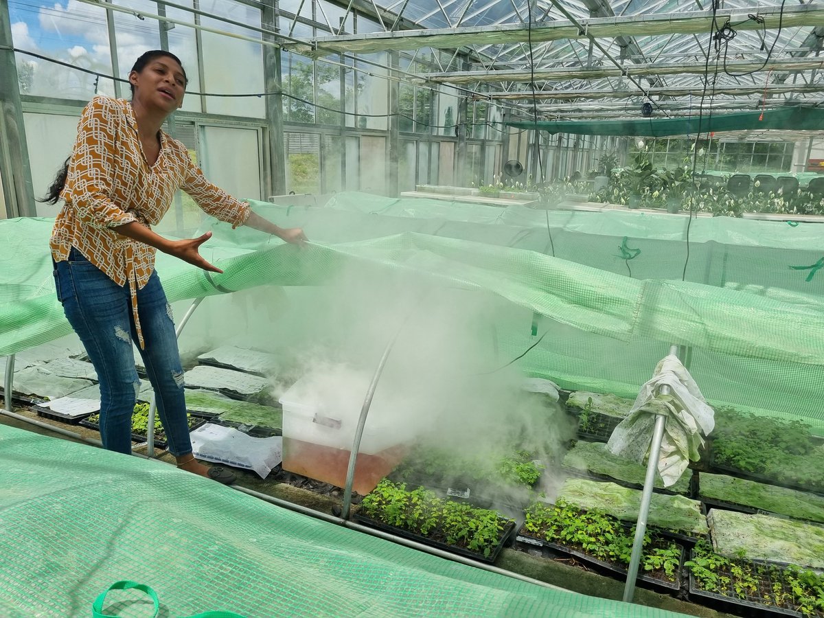 GreenLab Biotechnology tweet media