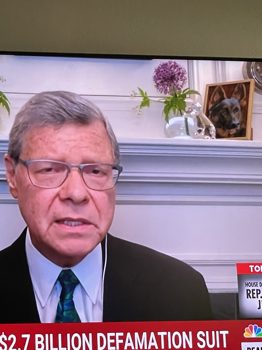 @SykesCharlie what is that beautiful Flower on your mantle?