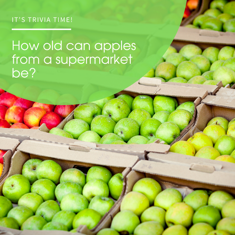 GetFresh_Sales's tweet photo. #TriviaTime

🍏 When you buy apples from a supermarket, you're compromising freshness and supporting local farmers.

The apples you buy can be up to one year old. 😱
 
#GetFresh #VegasGrown #OrganicFood #VegetableFacts #Apples #FreshApples https://t.co/EThrL8uJO0
