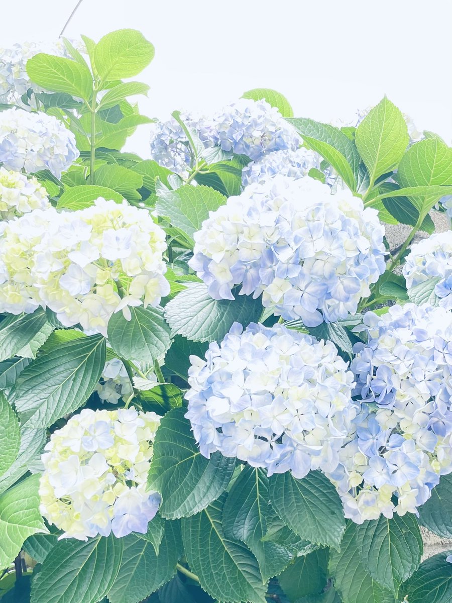 おはよう御座います⛅️
5月最終日な5/31水曜日。
終わり良ければ全て良し！
今日も一日頑張って行きましょう💪

#いいねした人全員フォロー(フォロバくれない人は即外します)
#相互フォロー
#フォロバ100