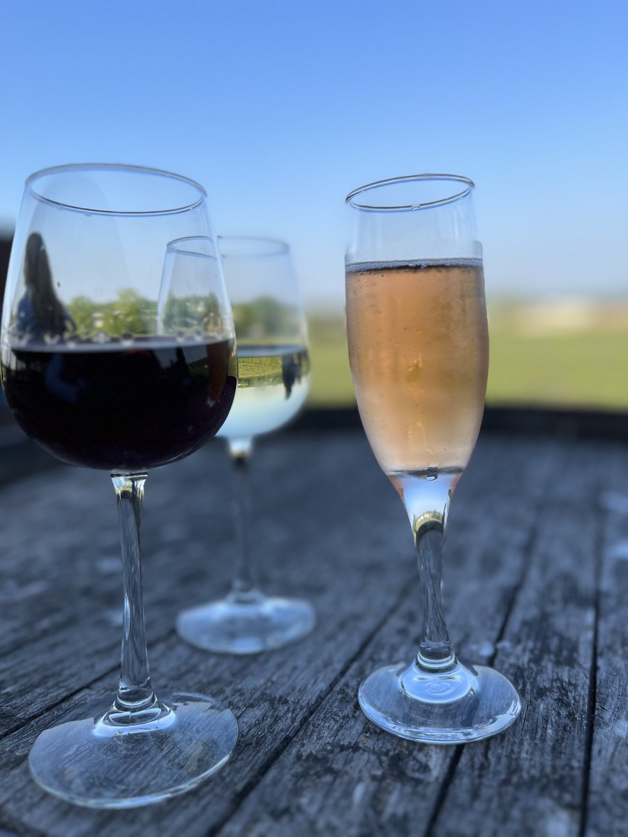 bbradnam's tweet photo. Ravine Vineyards #MSDO2023 https://t.co/I95FSBthfN