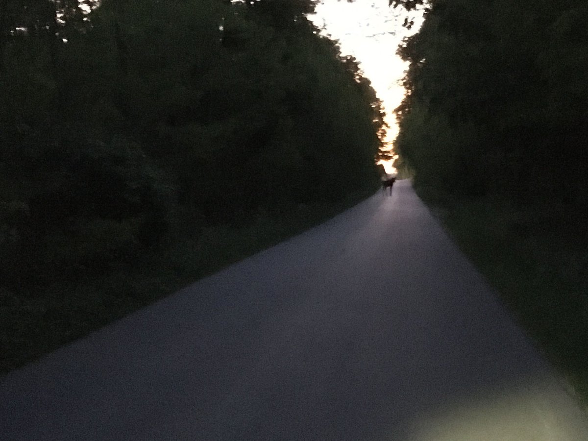 Majowa setka rzutem na taśmę. W ciągu dnia z małym poślizgiem w mrok. I jeszcze magiczne spotkanie z łosiem. Popatrzył, sapnął i odszedł.