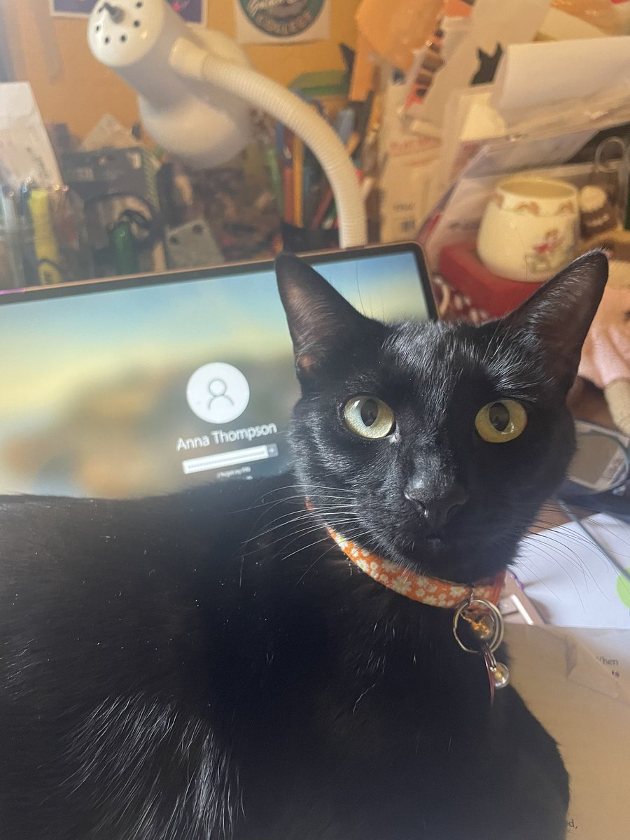 Posted my grades 💪. Was going to finish a few lose ends but I guess that has to wait till tomorrow. 😂😂 #Xenta