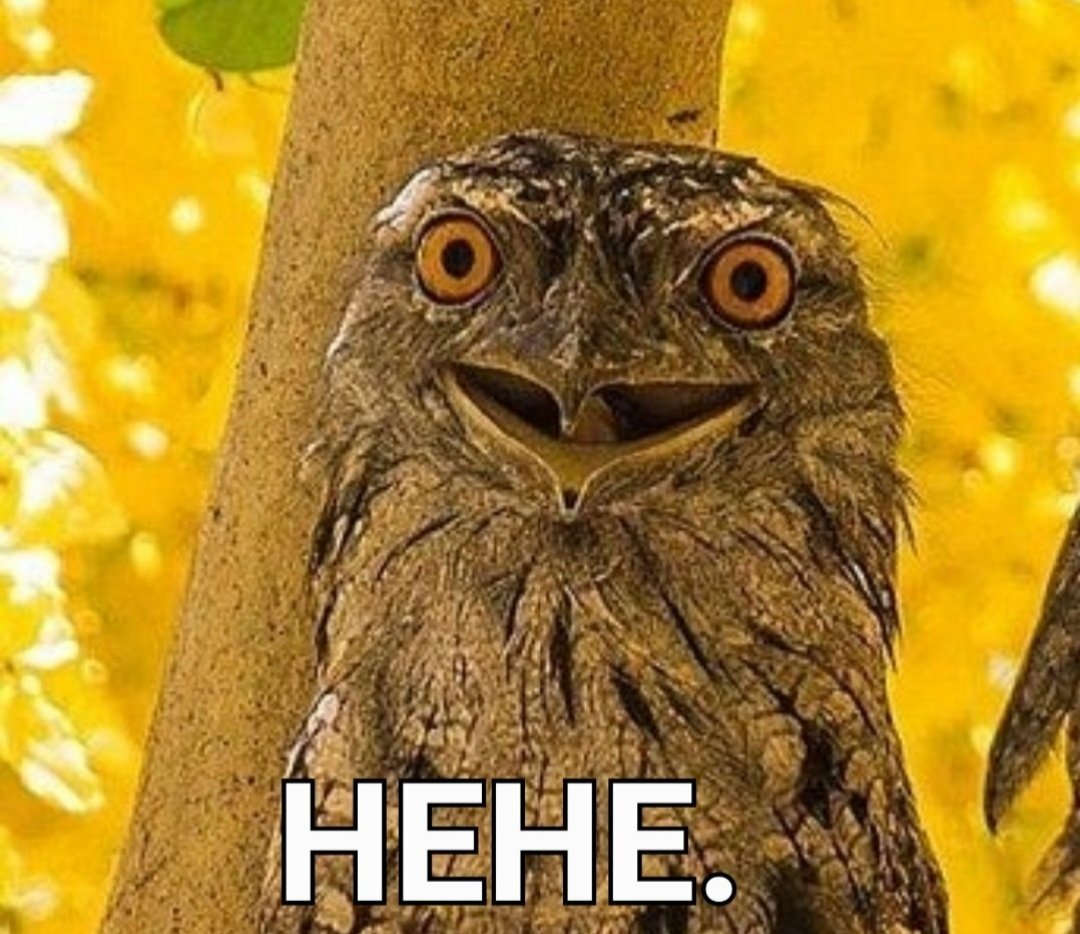 It's that time of the day, when we're wondering what tweets Morfydd is reading right now🤔