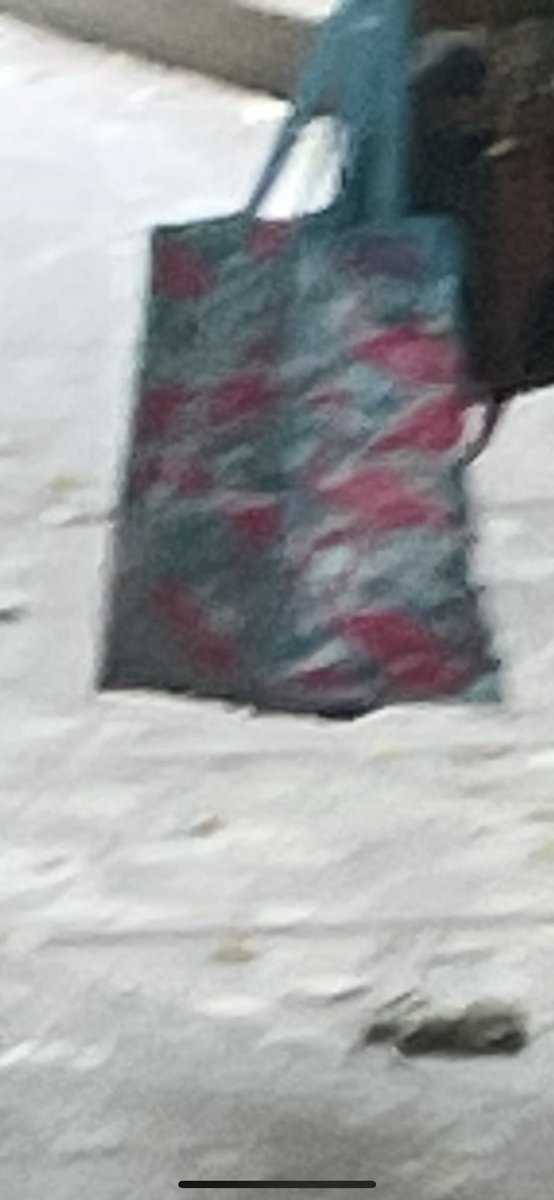 Phlamingolingo's tweet photo. A phlock spotted on this bag - word has it the spotter slipped and was in the process of falling while taking the photo #phlamingphound https://t.co/ndGiwtFNqU