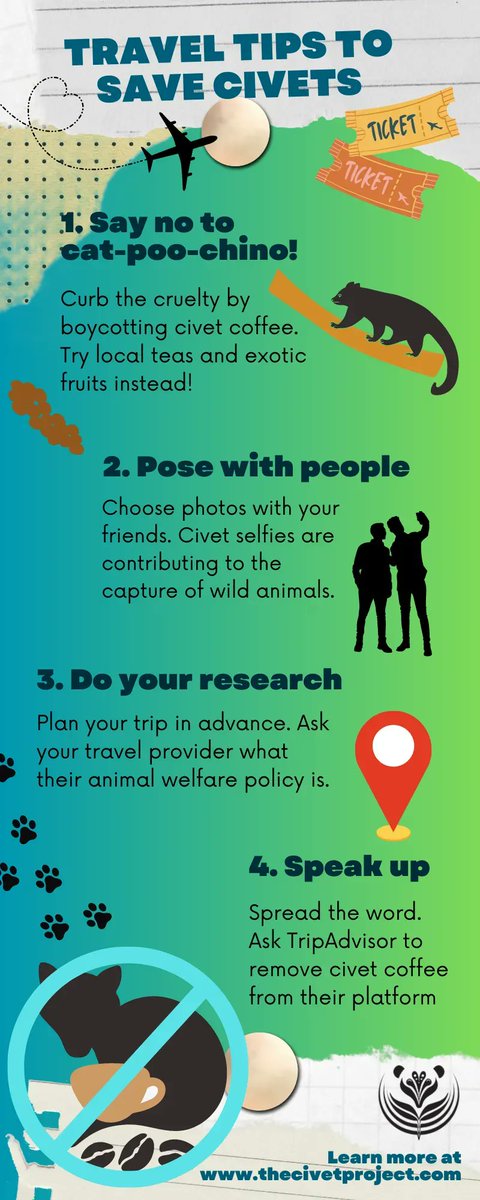 Wander wisely, protect wildlife. 🐾 #TravelTuesday #Travel #Conservation #AnimalWelfare #TravelTips #TravelWithPurpose #TravelResponsibly #ResponsibleAdventures