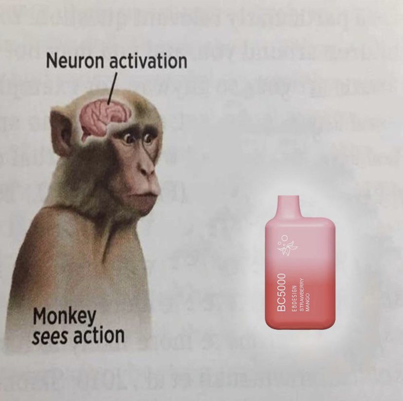 ʰ (@easterngoblin) on Twitter photo 