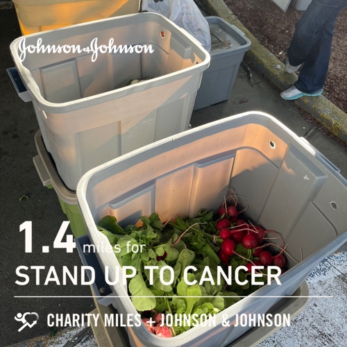 1.4 @CharityMiles for @SU2C. Thx 2 #JNJ & @DonateAPhoto. #RWRunStreak