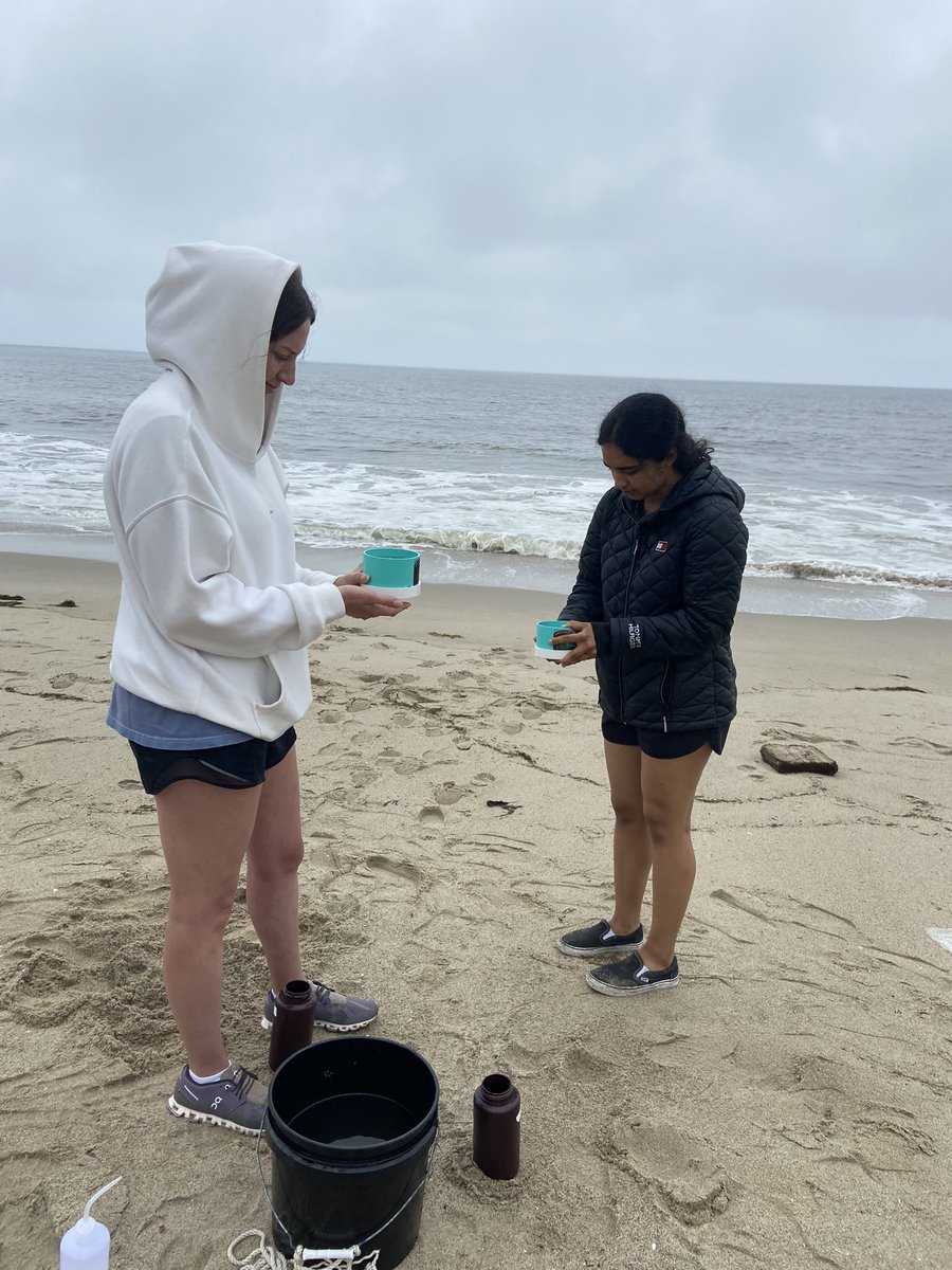 amberrbratcher's tweet photo. My CRI summer research students are keeping busy! We’re sampling phytoplankton all along coastal Santa Monica Bay to observe trends in HAB species and community composition over time related to changing environmental conditions. @SeaverLMU https://t.co/4c3oDu9qU6
