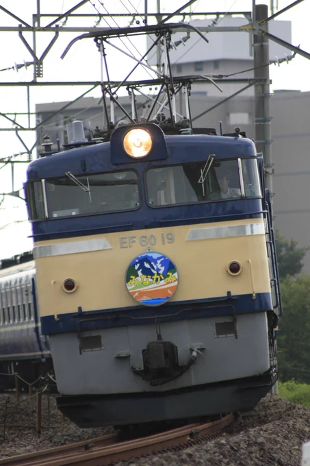 6019はブタ鼻であってこそだと思ってるので1灯は2回しか走行撮ってないです…。