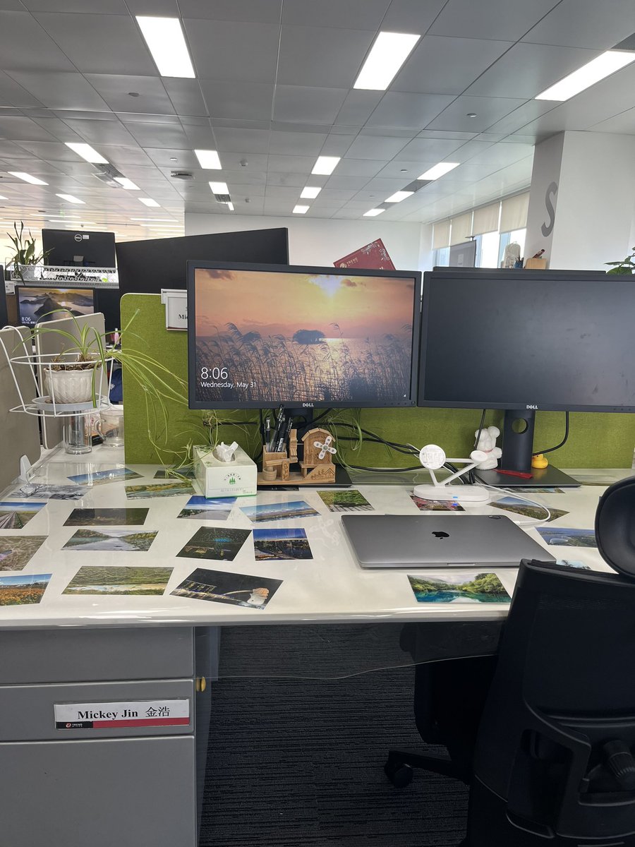 Mickey Jin tweet media