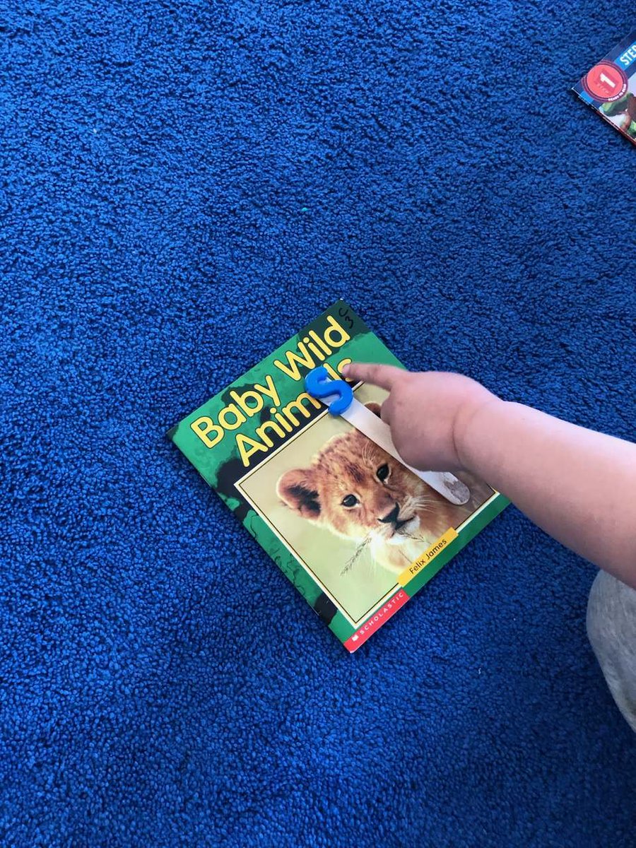 MsWilkieSmith tweet media