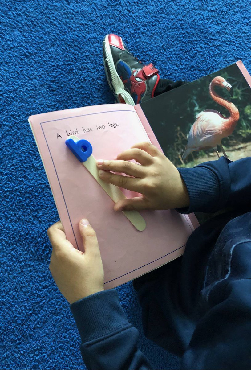 FDK 7 has been having fun playing our new favourite literacy game by adding letter wands to a game of musical books! Students move around the carpet to music &amp; sit in front of a book when it stops. As they read they look for words that contain their letter. <a href="/HWDSB/">HWDSB</a> <a href="/ViolaD_HWDSB/">Viola Desmond Elementary School</a>