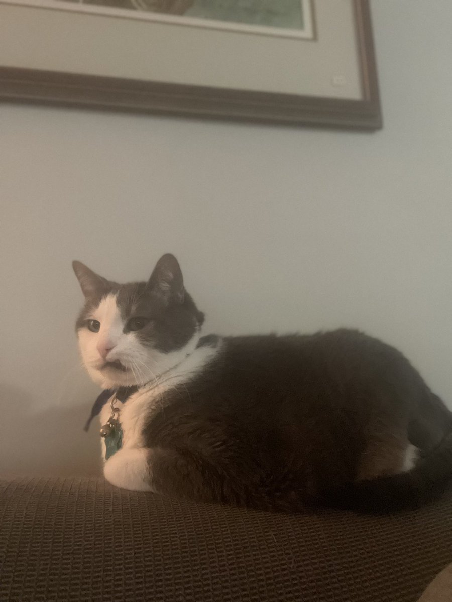 Felicia Abrams tweet media