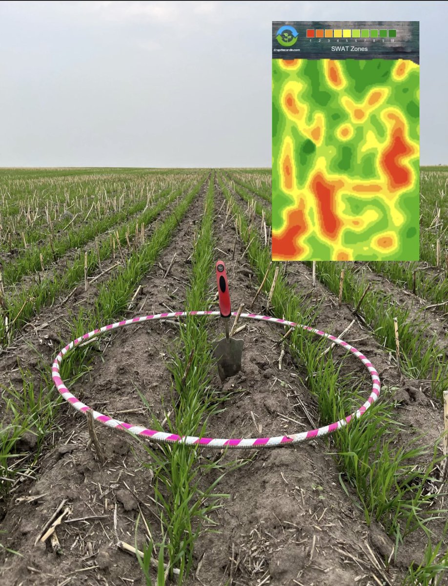 SoilConnect plant stand evaluation by SWAT Zones begins for #crop2023 #swatmaps #soilconnect #plantstand <a href="/Simplot_SGSCAN/">Simplot Grower Solutions Canada</a>