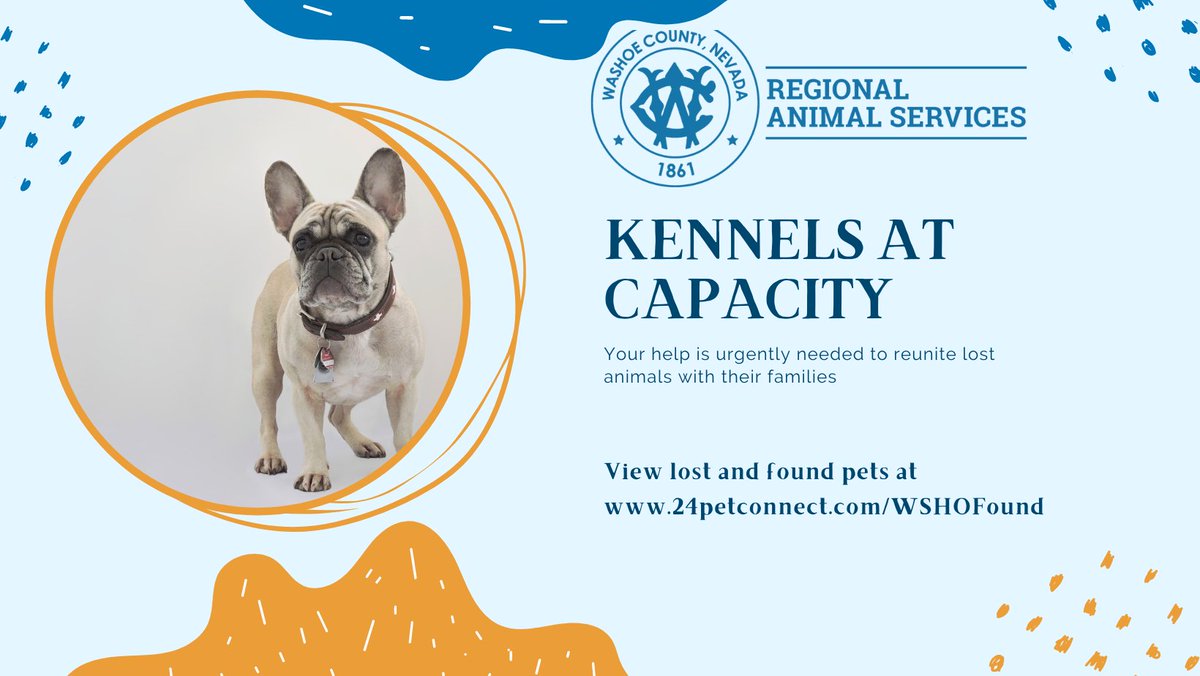 Washoe County (@washoecounty) on Twitter photo Washoe County Animal Services is facing an overcapacity crisis. Our kennels are full. We are partnering with <a href="/NVHumaneSociety/">Nevada Humane Society</a> to spread the word. Please help us reunite lost pets, and help adopt those that need homes. bit.ly/43ADhi6 Washoe County Animal Services is facing an overcapacity crisis. Our kennels are full. We are partnering with <a href="/NVHumaneSociety/">Nevada Humane Society</a> to spread the word. Please help us reunite lost pets, and help adopt those that need homes. bit.ly/43ADhi6