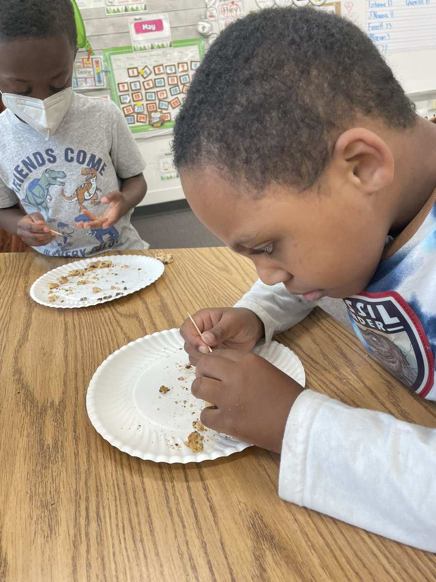 Dino 🦕 🦖Day!
Paleontologist at work. 🦴
<a href="/HunterPrincipal/">Hunter GT-AIG Elem</a> <a href="/ShaneBarham1976/">Shane Barham</a>