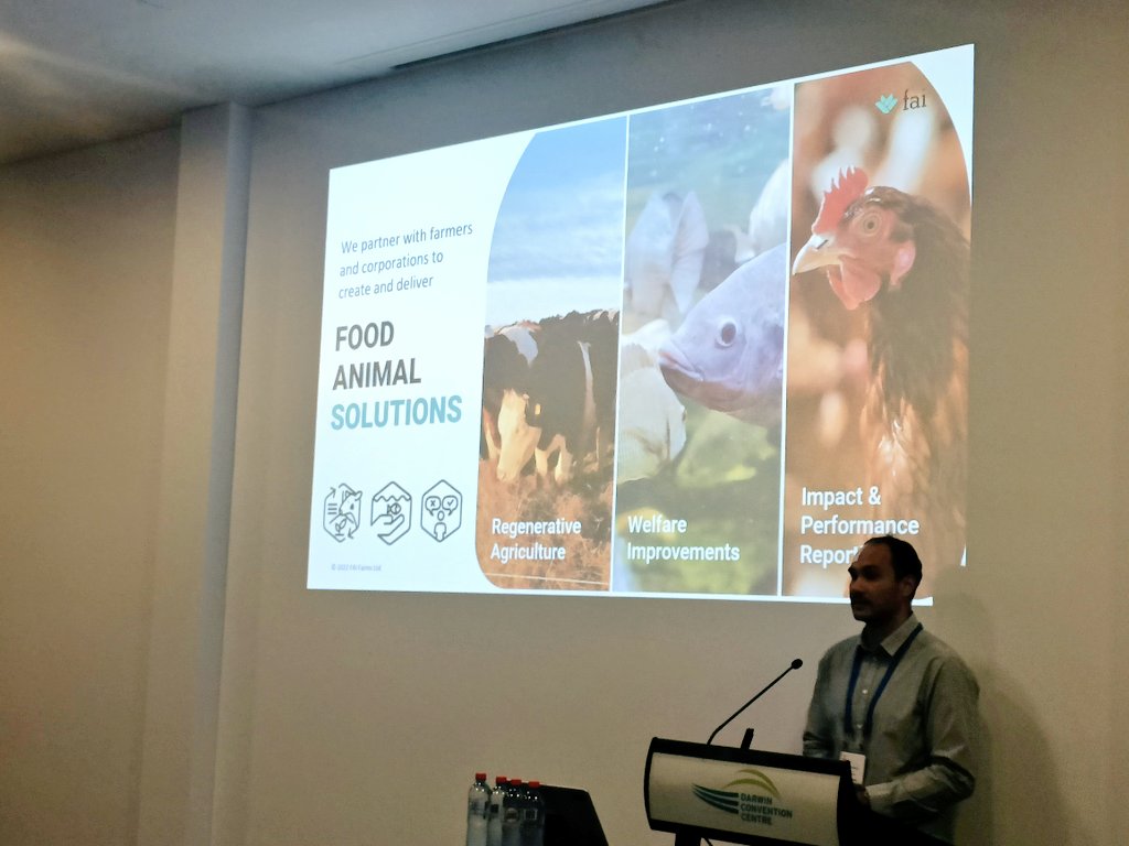 saraBarrento tweet media