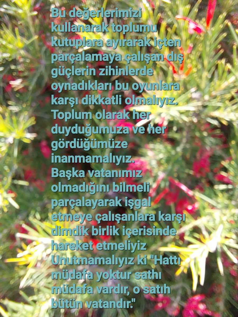 Deniz_Oktem35's tweet photo. https://t.co/heNnBoYo96