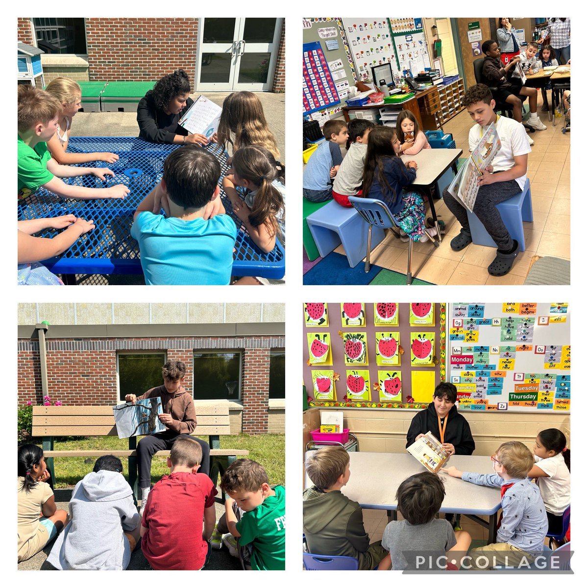 Mrs. BellicoQMS tweet media