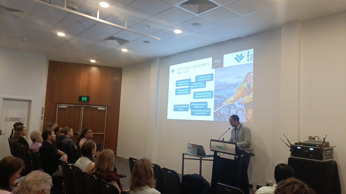 saraBarrento tweet media