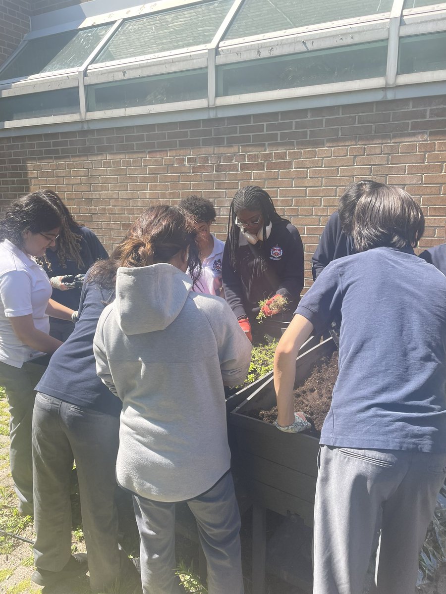 The FHC Environmental Club has been working very hard on our new pollinator garden!! We are having so much fun planting and learning 🐝#PollinateTO #Grants4Gardens <a href="/LiveGreenTO/">Live Green Toronto</a>  @P_FHC_TCDSB