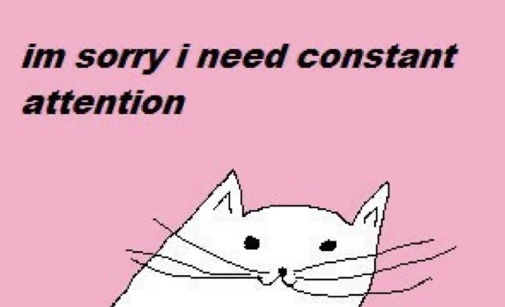 not cute & kinky memes (@cravedcuddle) on Twitter photo 