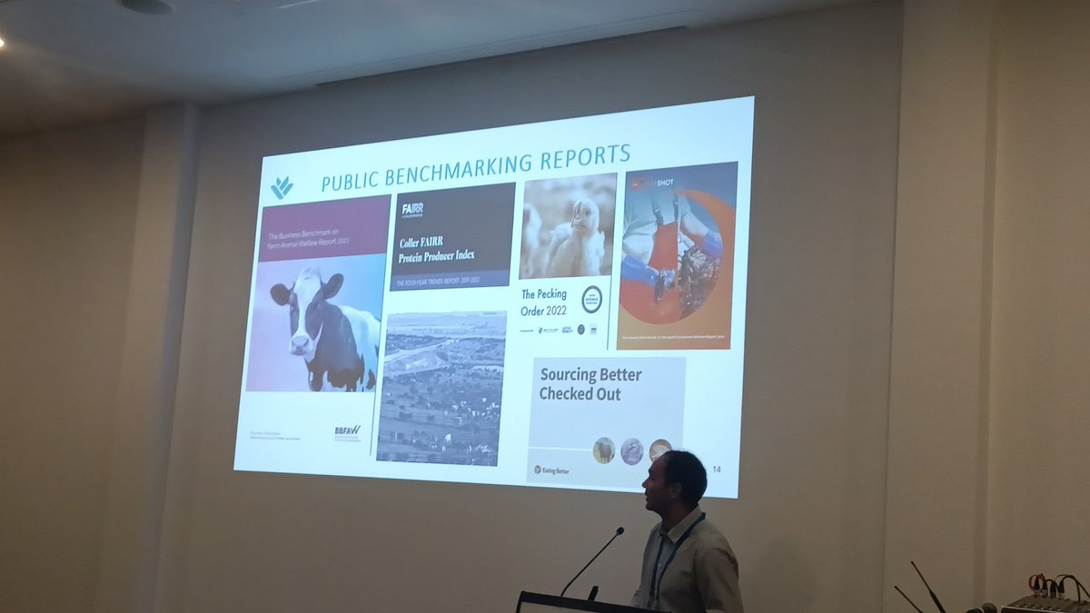 saraBarrento tweet media