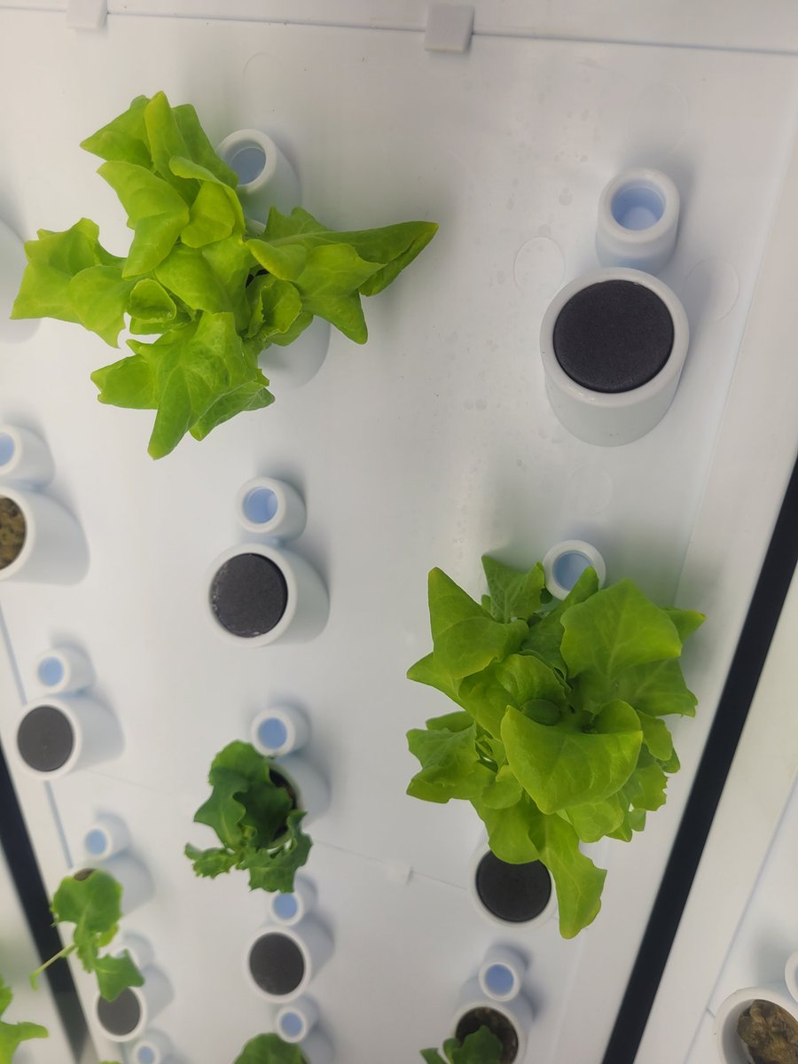 Amanda Gallerani tweet media