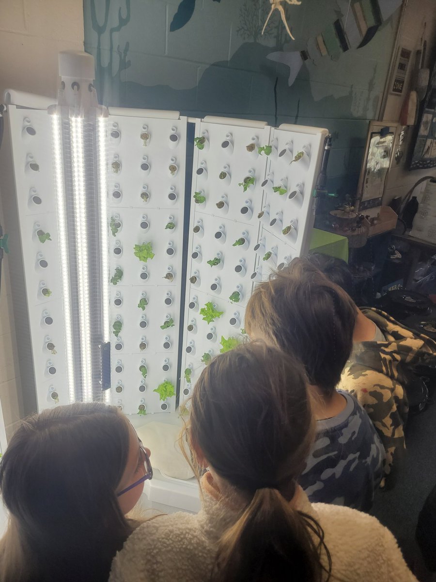 Amanda Gallerani tweet media