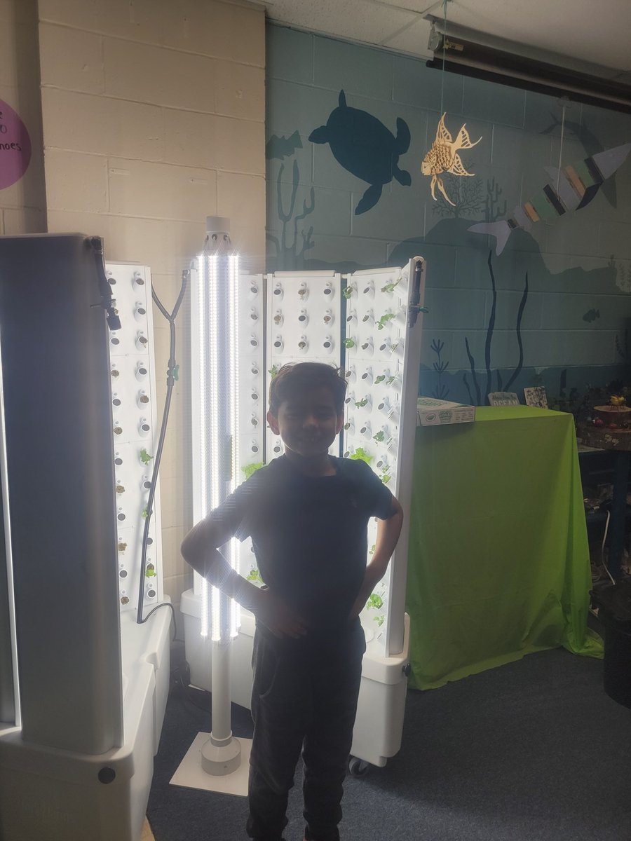 Amanda Gallerani tweet media