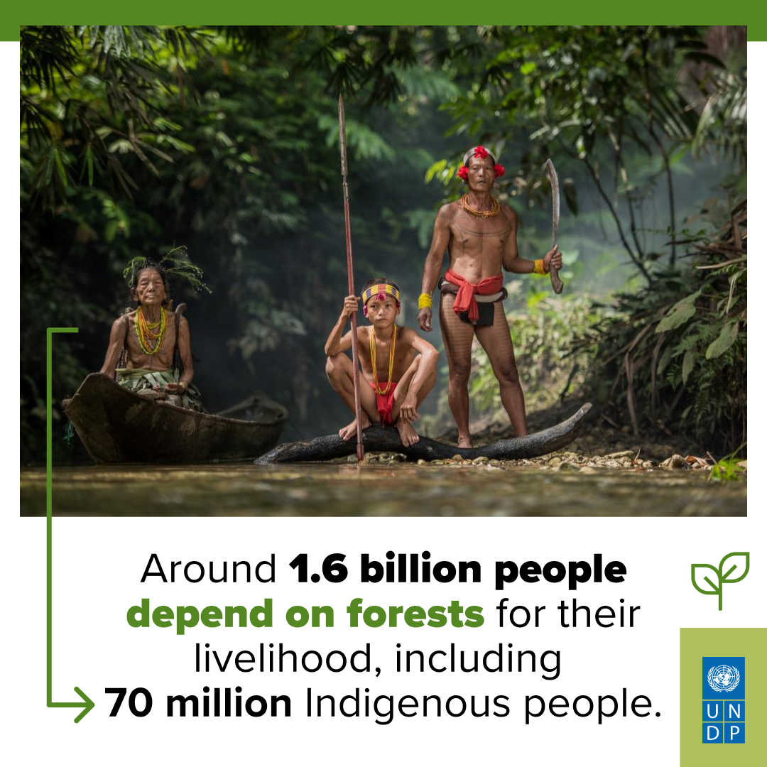 Achim Steiner (@ASteiner) on Twitter photo 2023-05-31 00:03:49 Investing in nature & #biodiversity is about more than simple conservation. 80% of people living in rural areas in developing countries rely on traditional plant-based medicines for basic health care. #BuildBackBiodiversity go.undp.org/vNXb Investing in nature & #biodiversity is about more than simple conservation. 80% of people living in rural areas in developing countries rely on traditional plant-based medicines for basic health care. #BuildBackBiodiversity go.undp.org/vNXb